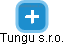 Tungu s.r.o. - náhled vizuálního zobrazení vztahů obchodního rejstříku