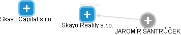 Skayo Reality s.r.o. - náhled vizuálního zobrazení vztahů obchodního rejstříku