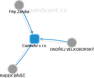 Cannafor s.r.o. - náhled vizuálního zobrazení vztahů obchodního rejstříku