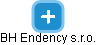 BH Endency s.r.o. - náhled vizuálního zobrazení vztahů obchodního rejstříku