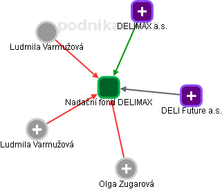 Nadační fond DELIMAX - náhled vizuálního zobrazení vztahů obchodního rejstříku
