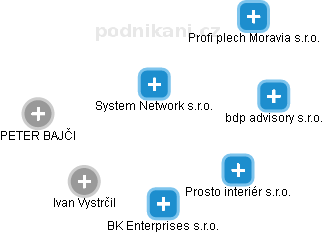System Network s.r.o. - náhled vizuálního zobrazení vztahů obchodního rejstříku