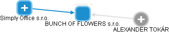 BUNCH OF FLOWERS s.r.o. - náhled vizuálního zobrazení vztahů obchodního rejstříku