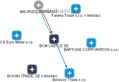 BCM CASTLE SE - náhled vizuálního zobrazení vztahů obchodního rejstříku