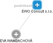 EWO Consult s.r.o. - náhled vizuálního zobrazení vztahů obchodního rejstříku