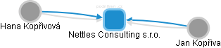 Nettles Consulting s.r.o. - náhled vizuálního zobrazení vztahů obchodního rejstříku