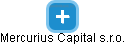 Mercurius Capital s.r.o. - náhled vizuálního zobrazení vztahů obchodního rejstříku