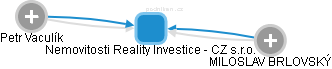 Nemovitosti Reality Investice - CZ s.r.o. - náhled vizuálního zobrazení vztahů obchodního rejstříku