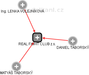 REAL FIGHT CLUB z.s. - náhled vizuálního zobrazení vztahů obchodního rejstříku