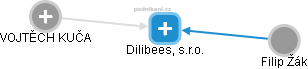 Dilibees, s.r.o. - náhled vizuálního zobrazení vztahů obchodního rejstříku