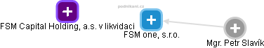 FSM one, s.r.o. - náhled vizuálního zobrazení vztahů obchodního rejstříku