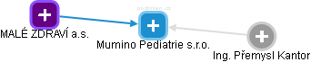 Mumino Pediatrie s.r.o. - náhled vizuálního zobrazení vztahů obchodního rejstříku