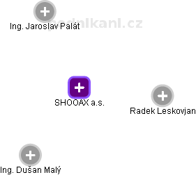 SHOOAX a.s. - náhled vizuálního zobrazení vztahů obchodního rejstříku
