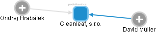 Cleanleaf, s.r.o. - náhled vizuálního zobrazení vztahů obchodního rejstříku