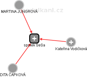 spolek SeSa - náhled vizuálního zobrazení vztahů obchodního rejstříku