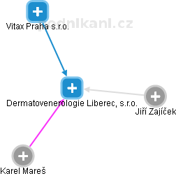 Dermatovenerologie Liberec, s.r.o. - náhled vizuálního zobrazení vztahů obchodního rejstříku