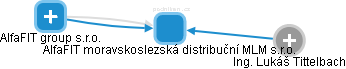 AlfaFIT moravskoslezská distribuční MLM s.r.o. - náhled vizuálního zobrazení vztahů obchodního rejstříku