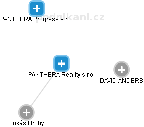 PANTHERA Reality s.r.o. - náhled vizuálního zobrazení vztahů obchodního rejstříku