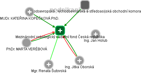 Mezinárodní onkologický nadační fond Česká republika - náhled vizuálního zobrazení vztahů obchodního rejstříku