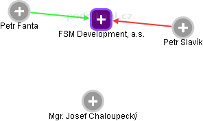 FSM Development, a.s. - náhled vizuálního zobrazení vztahů obchodního rejstříku