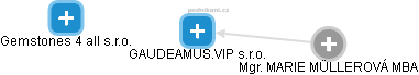 GAUDEAMUS.VIP s.r.o. - náhled vizuálního zobrazení vztahů obchodního rejstříku