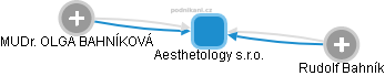 Aesthetology s.r.o. - náhled vizuálního zobrazení vztahů obchodního rejstříku