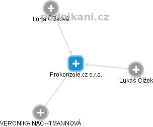Prokonzole.cz s.r.o. - náhled vizuálního zobrazení vztahů obchodního rejstříku