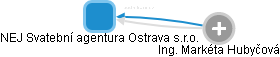 NEJ Svatební agentura Ostrava s.r.o. - náhled vizuálního zobrazení vztahů obchodního rejstříku
