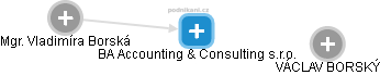 BA Accounting & Consulting s.r.o. - náhled vizuálního zobrazení vztahů obchodního rejstříku