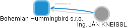 Bohemian Hummingbird s.r.o. - náhled vizuálního zobrazení vztahů obchodního rejstříku