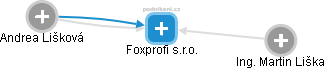 Foxprofi s.r.o. - náhled vizuálního zobrazení vztahů obchodního rejstříku