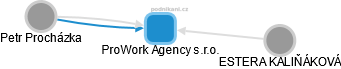 ProWork Agency s.r.o. - náhled vizuálního zobrazení vztahů obchodního rejstříku