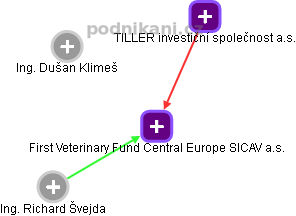 First Veterinary Fund Central Europe SICAV a.s. - náhled vizuálního zobrazení vztahů obchodního rejstříku