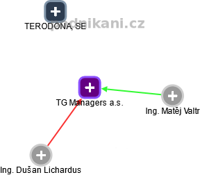 TG Managers a.s. - náhled vizuálního zobrazení vztahů obchodního rejstříku