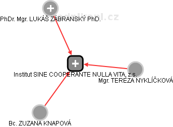 Institut SINE COOPERANTE NULLA VITA, z.s. - náhled vizuálního zobrazení vztahů obchodního rejstříku