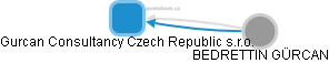 Gurcan Consultancy Czech Republic s.r.o. - náhled vizuálního zobrazení vztahů obchodního rejstříku