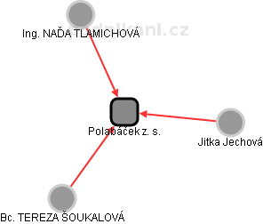 Polabáček z. s. - náhled vizuálního zobrazení vztahů obchodního rejstříku