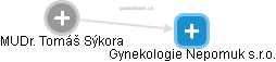 Gynekologie Nepomuk s.r.o. - náhled vizuálního zobrazení vztahů obchodního rejstříku