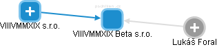 VIIIVMMXIX Beta s.r.o. - náhled vizuálního zobrazení vztahů obchodního rejstříku