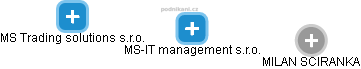 MS-IT management s.r.o. - náhled vizuálního zobrazení vztahů obchodního rejstříku