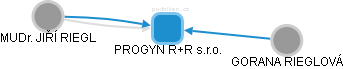 PROGYN R+R s.r.o. - náhled vizuálního zobrazení vztahů obchodního rejstříku