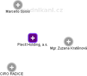 Plecit Holding, a.s. - náhled vizuálního zobrazení vztahů obchodního rejstříku