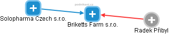Briketts Farm s.r.o. - náhled vizuálního zobrazení vztahů obchodního rejstříku