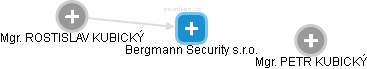 Bergmann Security s.r.o. - náhled vizuálního zobrazení vztahů obchodního rejstříku