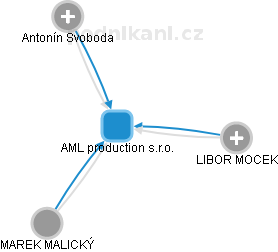 AML production s.r.o. - náhled vizuálního zobrazení vztahů obchodního rejstříku