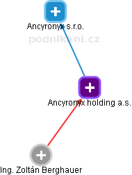 Ancyronyx holding a.s. - náhled vizuálního zobrazení vztahů obchodního rejstříku