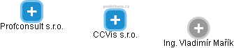 CCVis s.r.o. - náhled vizuálního zobrazení vztahů obchodního rejstříku