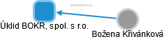 Úklid BOKR, spol. s r.o. - náhled vizuálního zobrazení vztahů obchodního rejstříku