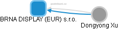 BRNA DISPLAY (EUR) s.r.o. - náhled vizuálního zobrazení vztahů obchodního rejstříku