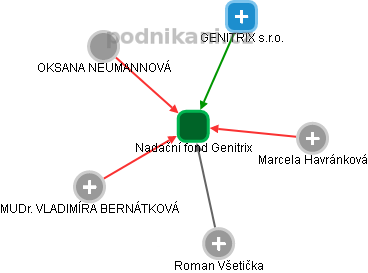 Nadační fond Genitrix - náhled vizuálního zobrazení vztahů obchodního rejstříku